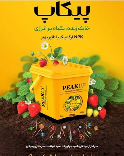 کود ارگانیک پیکاپ گرونبرگ ۵ کیلوگرم